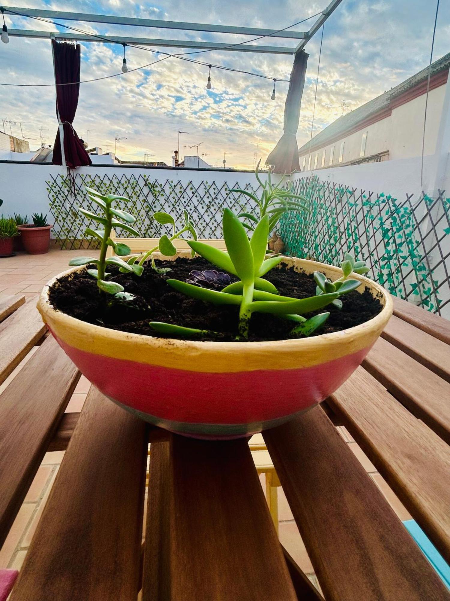 Appartamento La Azotea Del Sol Siviglia Esterno foto
