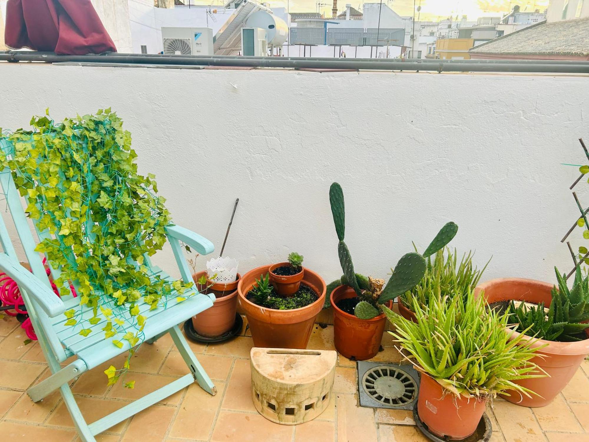Appartamento La Azotea Del Sol Siviglia Esterno foto